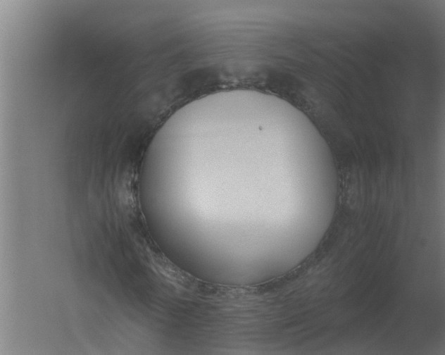 X0000059810770200511041652