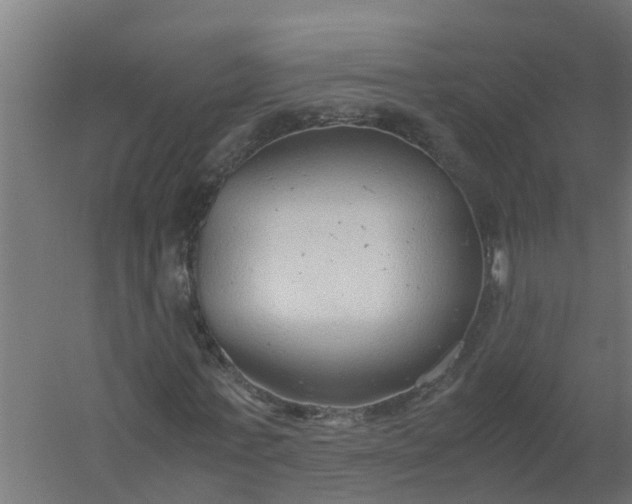 X0000059810771200511041652