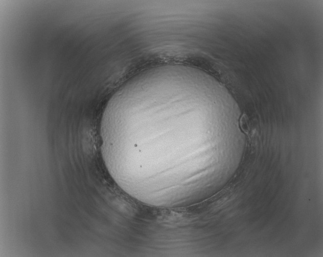 X0000059810772200511041652