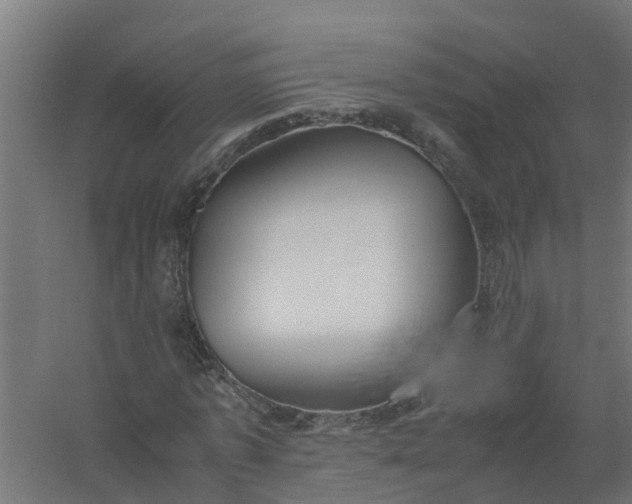 X0000059810773200511041652