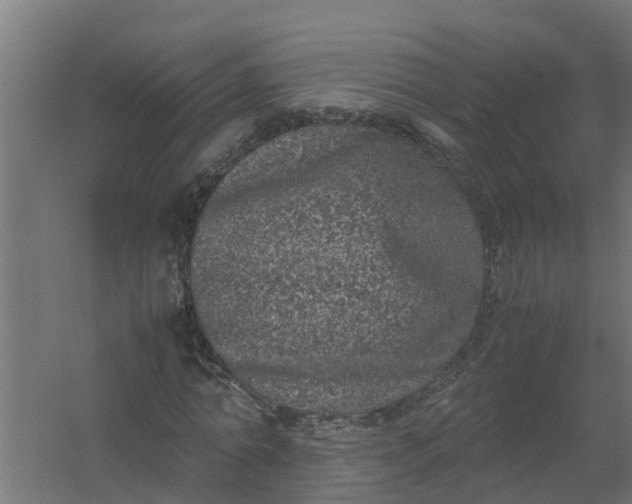 X0000059810774200511041652