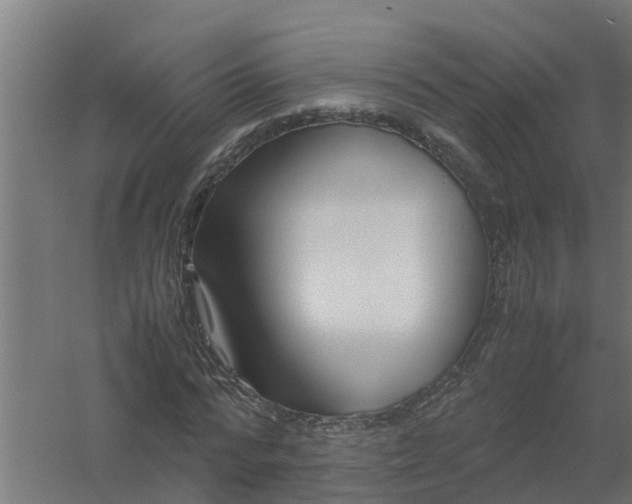 X0000059810776200511041652