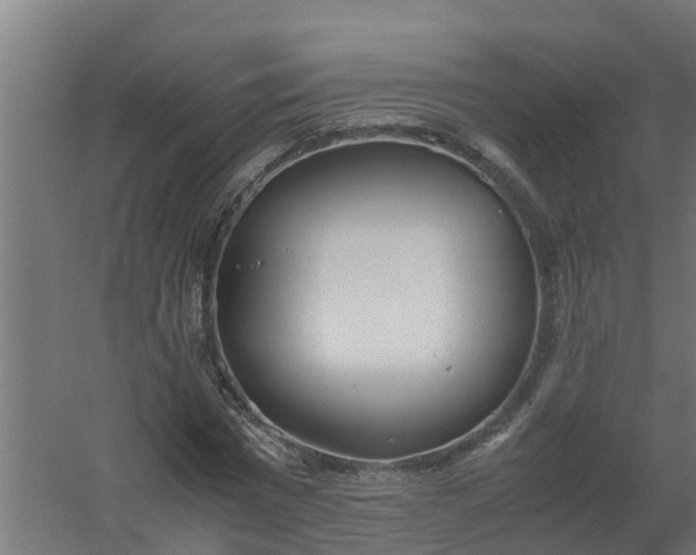 X0000059810777200511041652