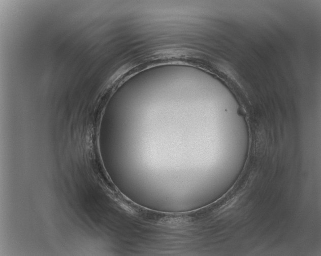 X0000059810778200511041652