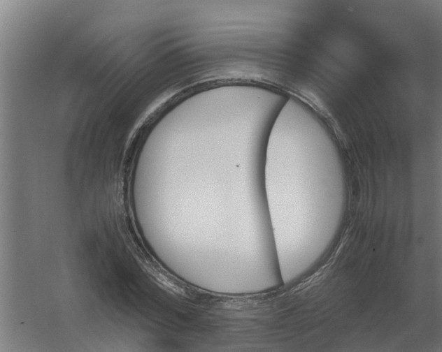 X0000059810780200511041652