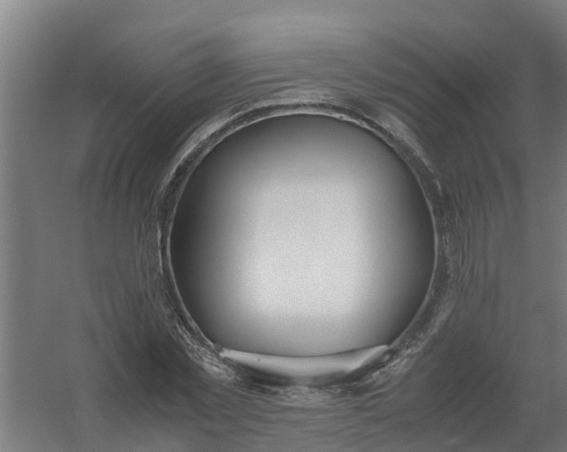 X0000059810781200511041652