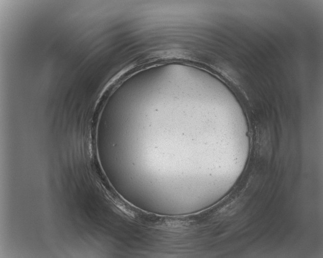 X0000059810782200511041652