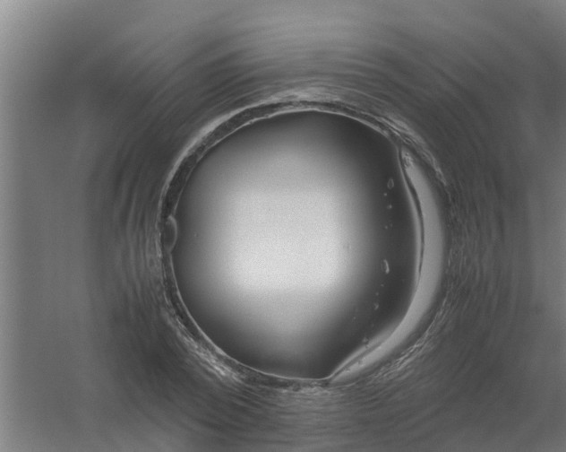 X0000059810784200511041652