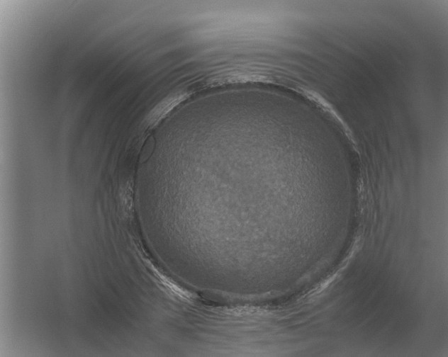 X0000059810785200511041652