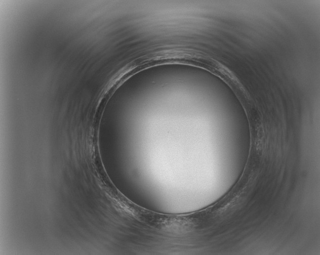 X0000059810786200511041652