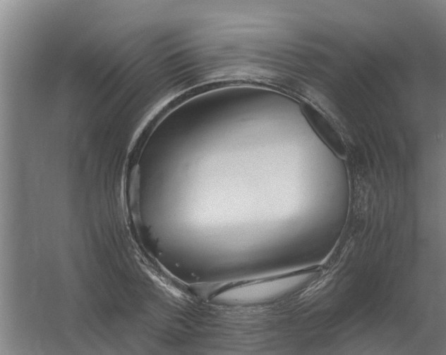 X0000059810788200511041652