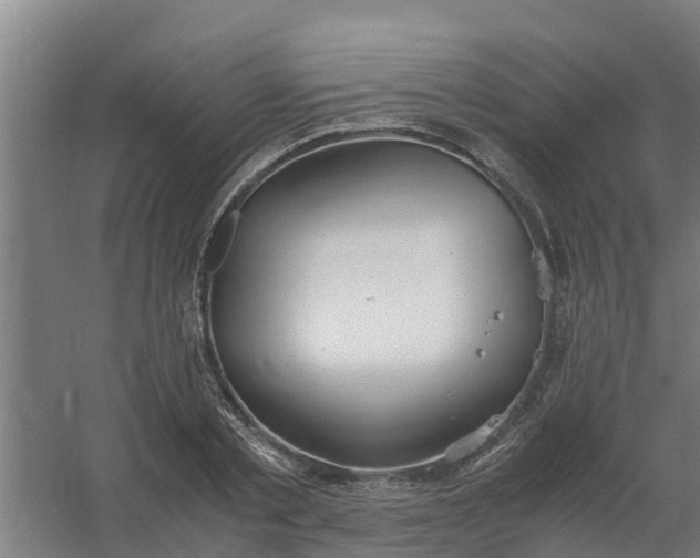 X0000059810789200511041652