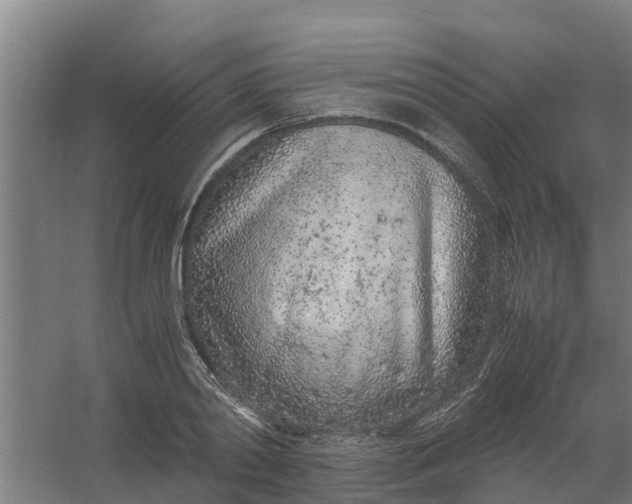 X0000059810790200511041652