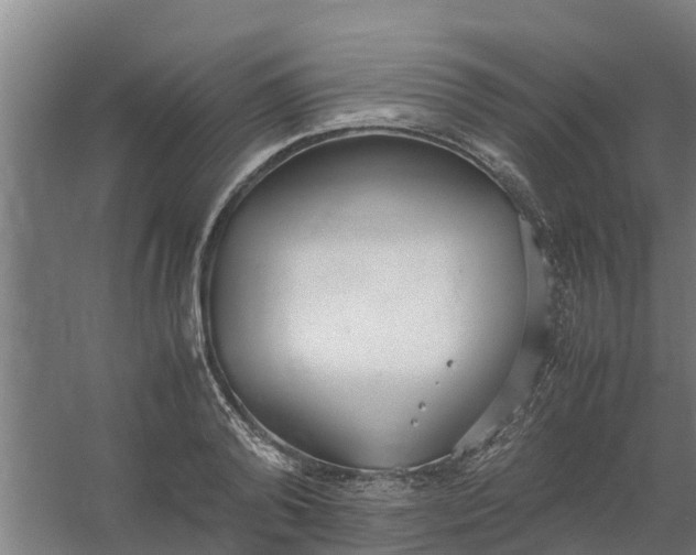 X0000059810792200511041652