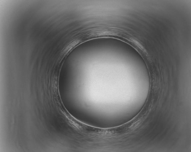 X0000059810793200511041652