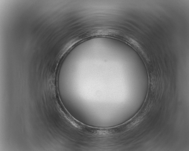 X0000059810794200511041652