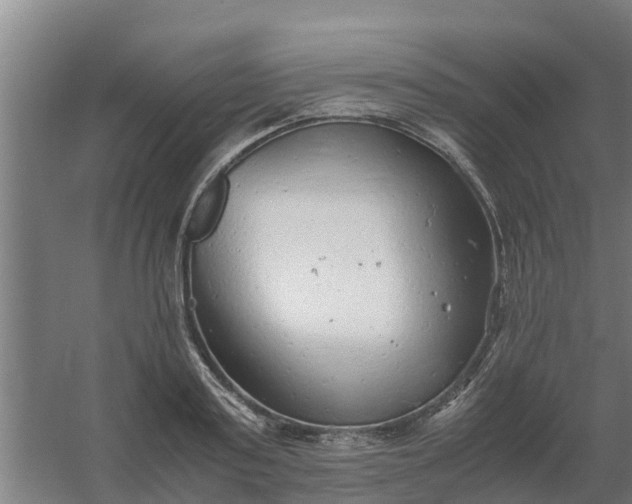 X0000059810795200511041652