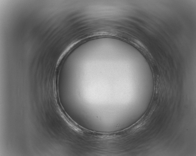 X0000059810796200511041652