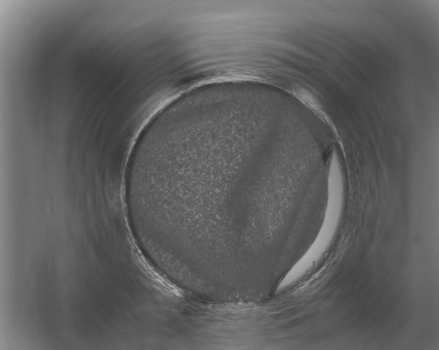 X0000059810797200511041652