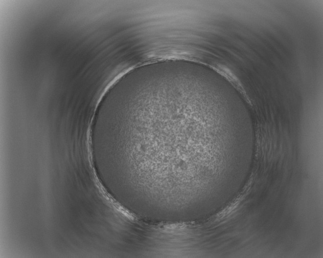 X0000059810798200511041652