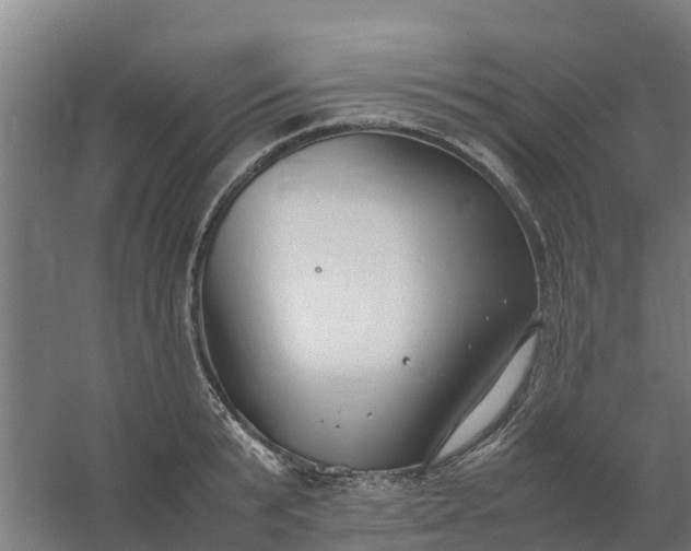 X0000059810799200511041652