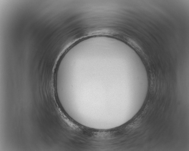 X0000059810800200511041652