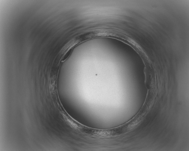 X0000059810801200511041652