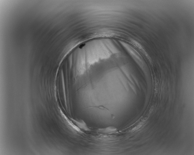 X0000059810802200511041652