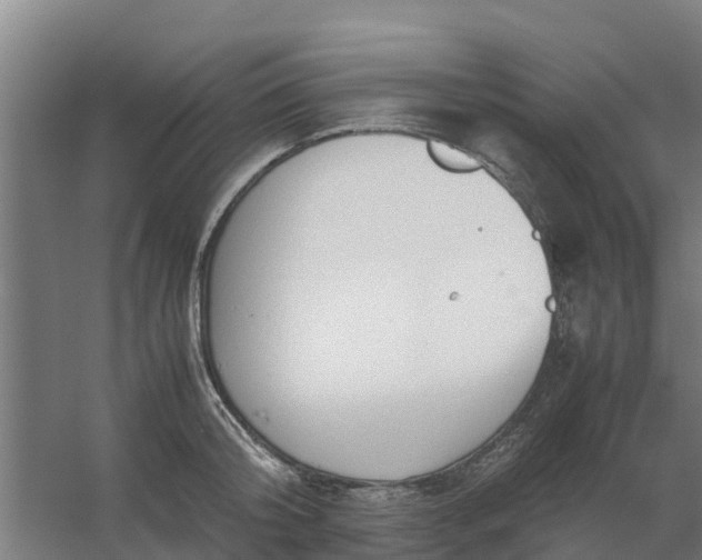 X0000059810804200511041652