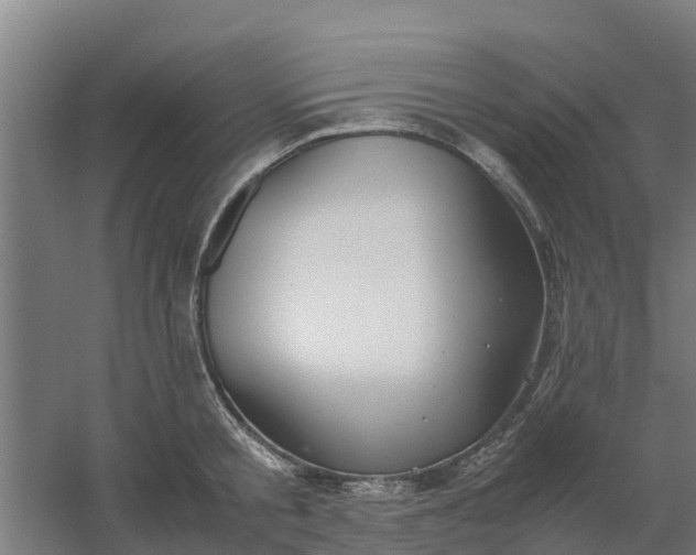 X0000059810805200511041652