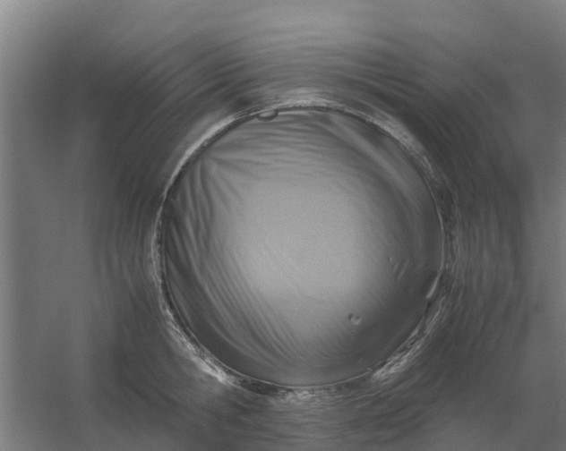 X0000059810806200511041652