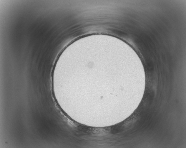 X0000059810807200511041652