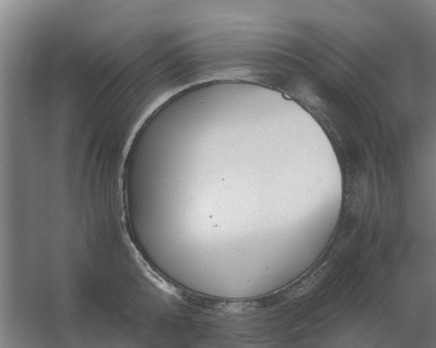 X0000059810808200511041652