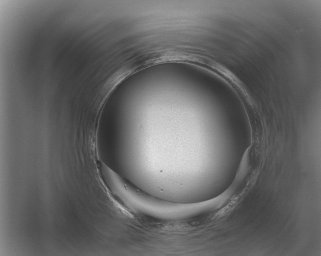 X0000059810809200511041652