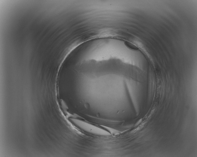 X0000059810810200511041652