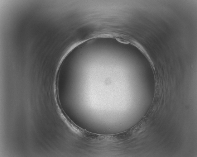 X0000059810811200511041652