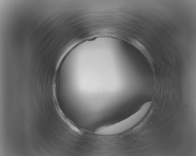 X0000059810812200511041652