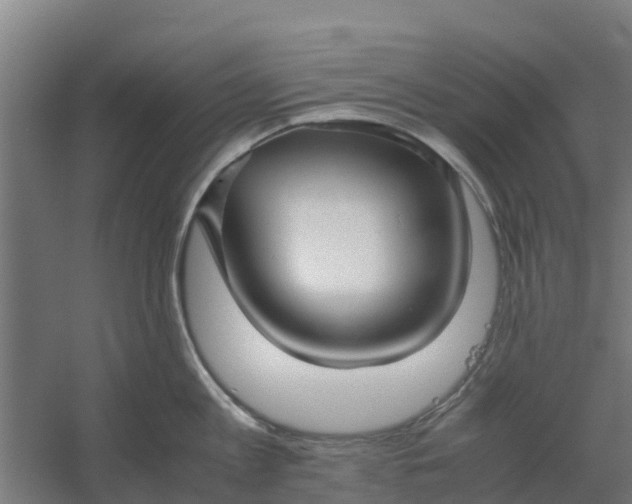 X0000059810813200511041652