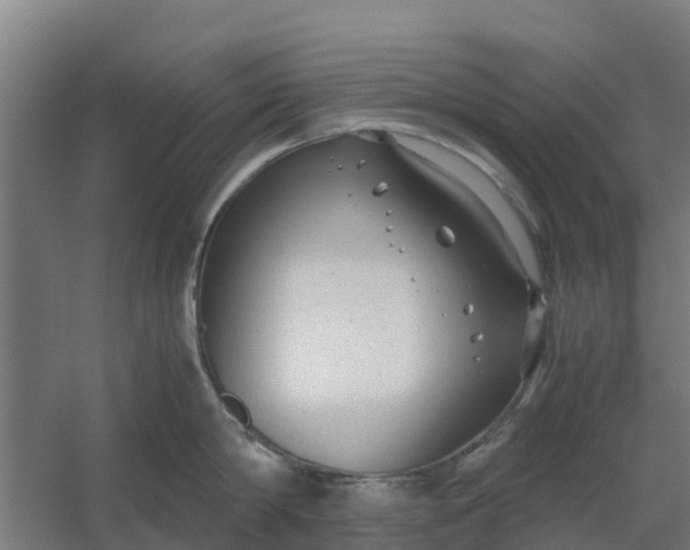 X0000059810814200511041652