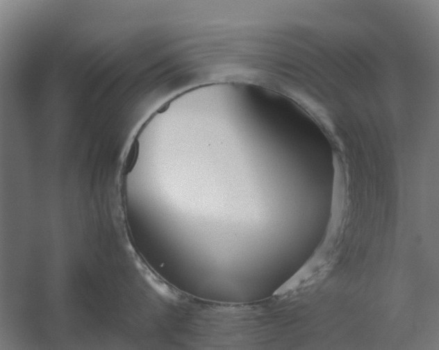 X0000059810816200511041652