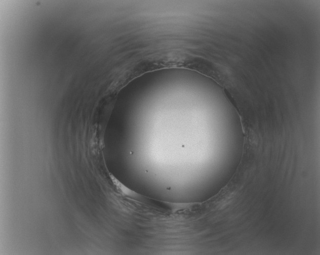 X0000059810818200511041651