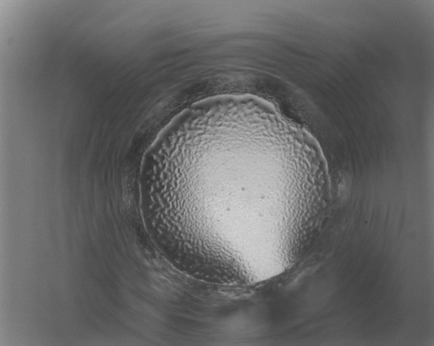 X0000059810819200511041651