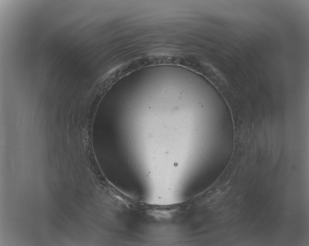 X0000059810821200511041651