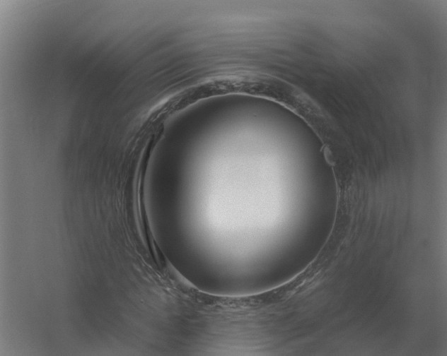 X0000059810822200511041651