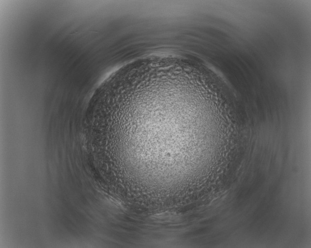 X0000059810823200511041651