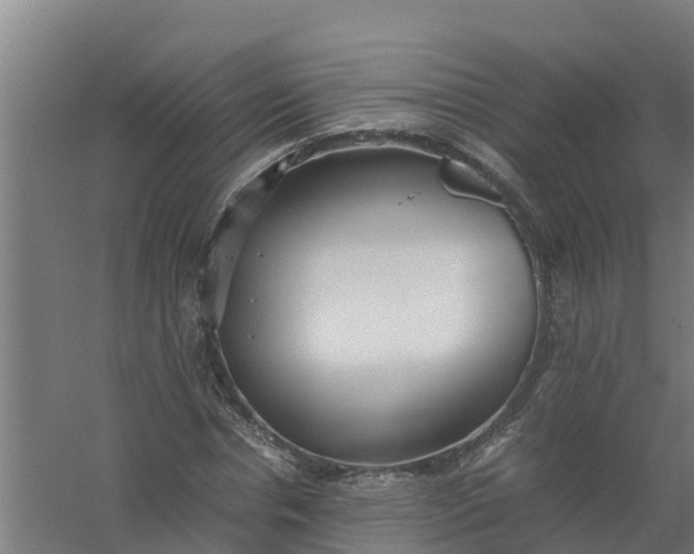 X0000059810826200511041651