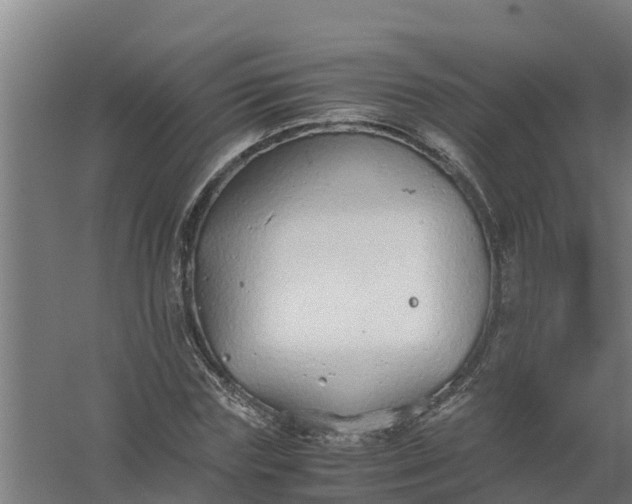 X0000059810827200511041651