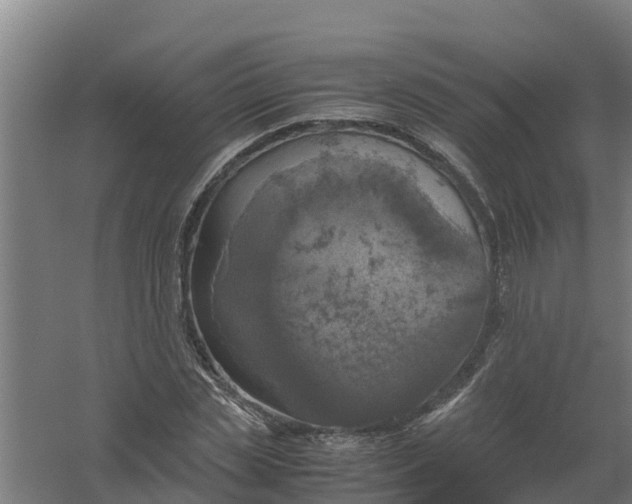 X0000059810829200511041651