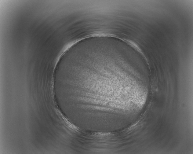 X0000059810831200511041651