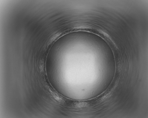 X0000059810833200511041651